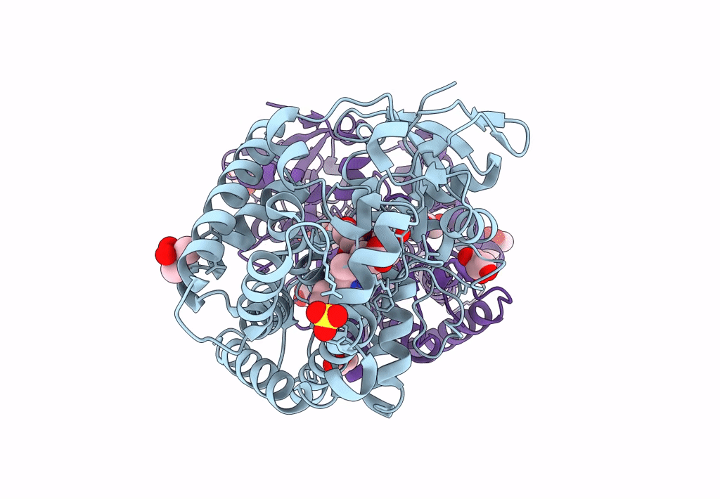 7XBM image
