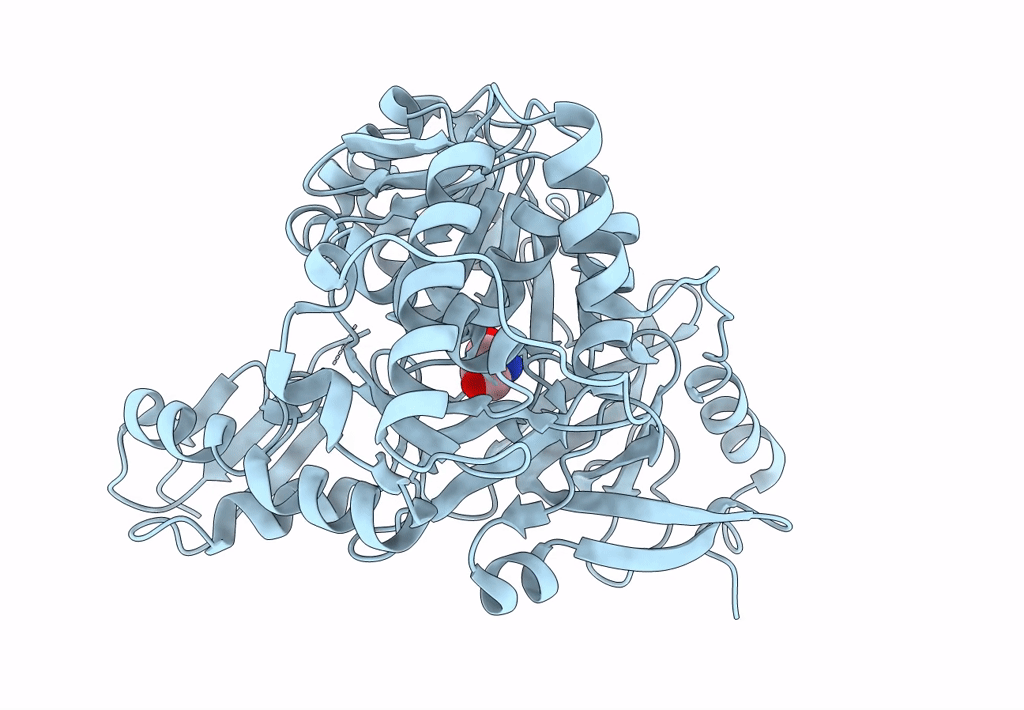 7XBS image