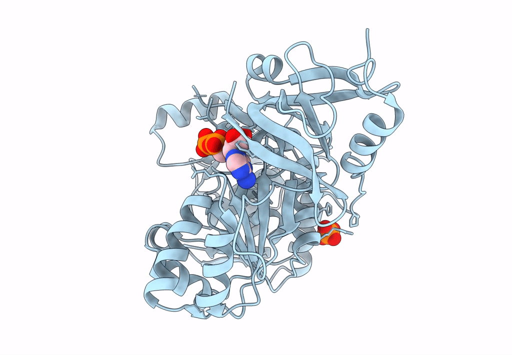 7XBV image