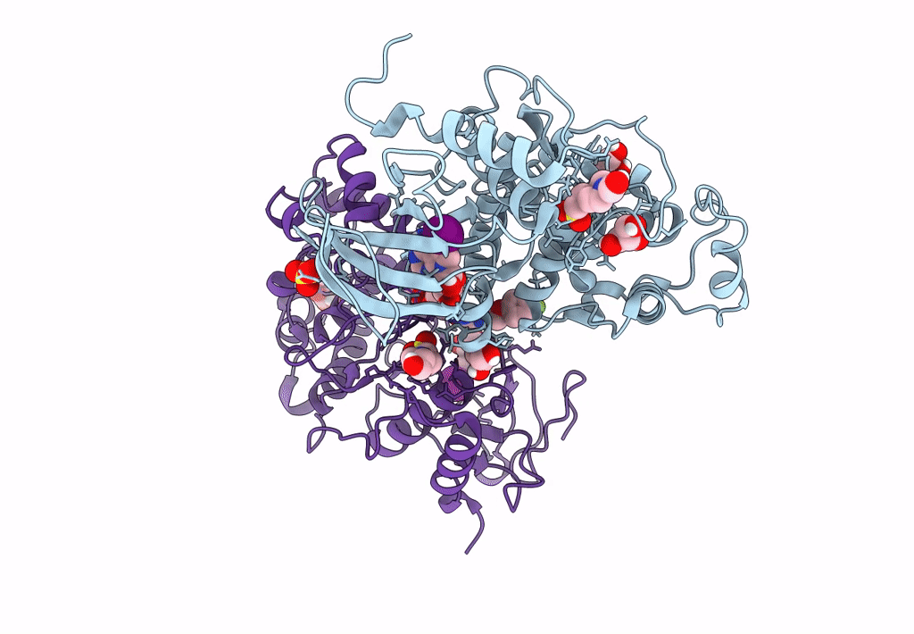 7XC1 image