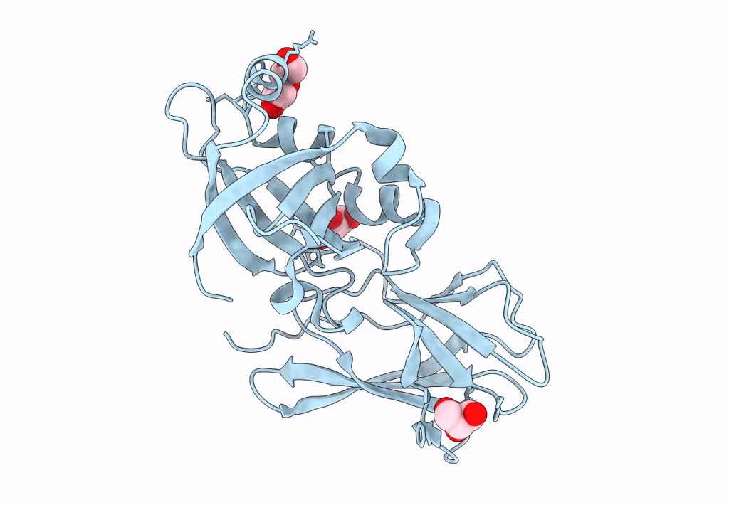 7XC8 image