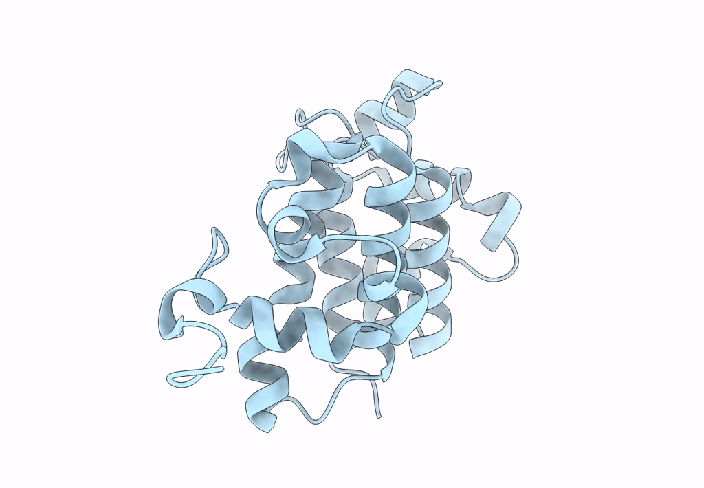 7XCD image