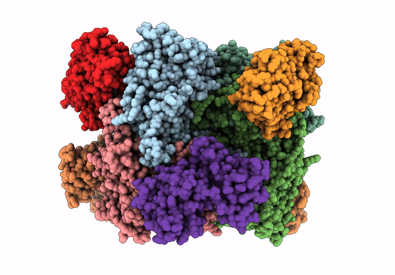 7XCN image