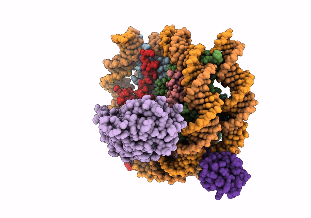 7XCR image