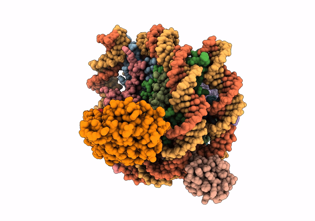 7XCT image