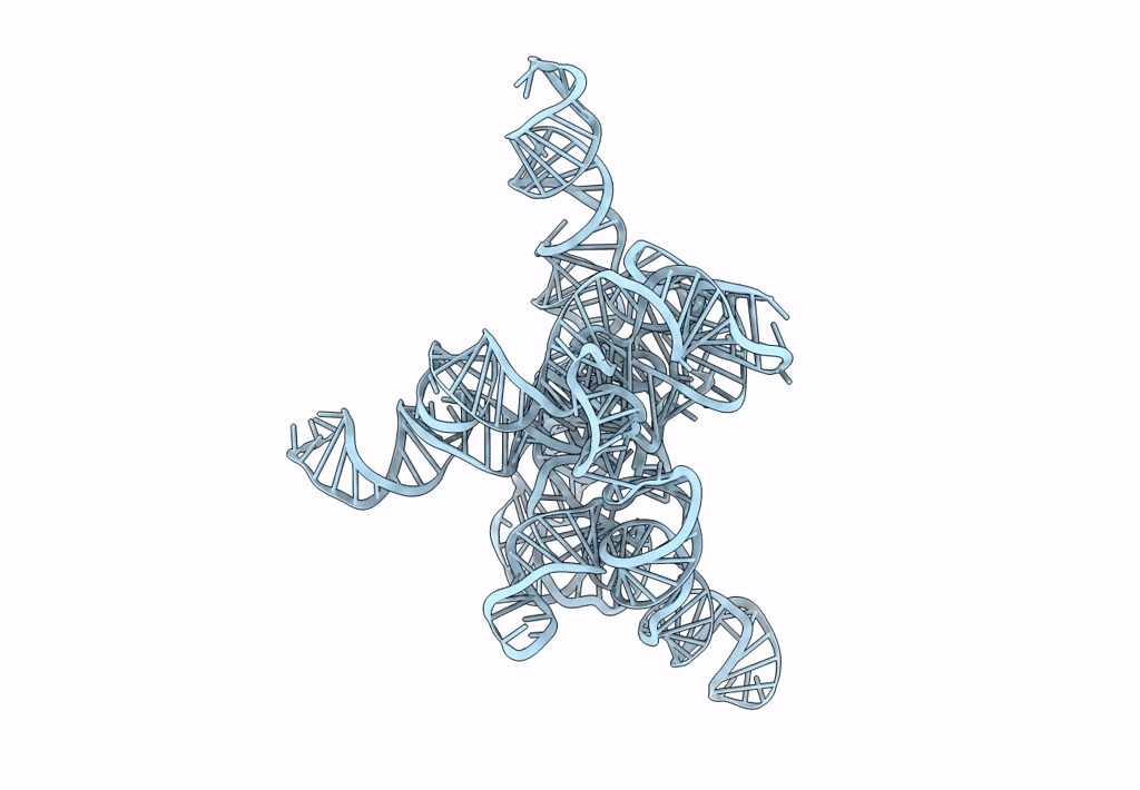 7XD3 image