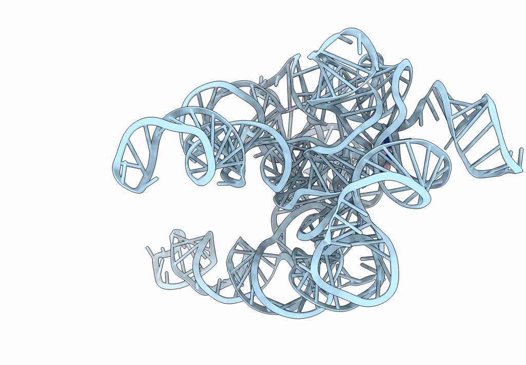 7XD7 image