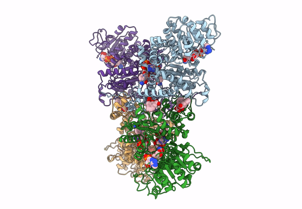 7XDF image