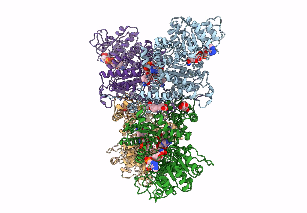 7XDG image