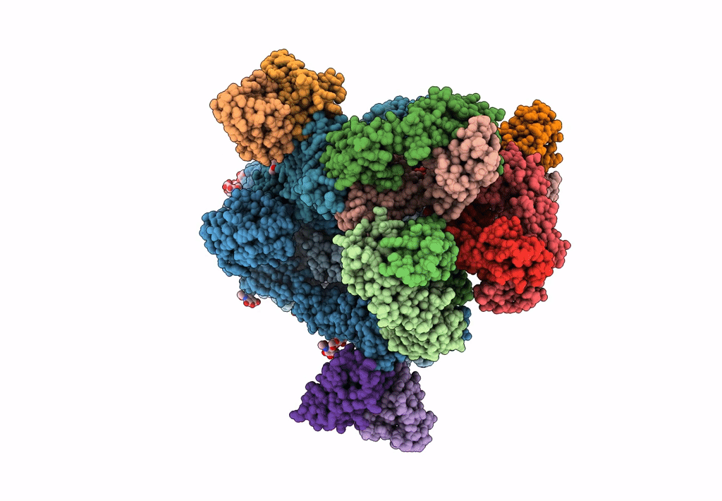 7XDL image