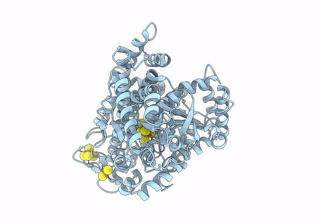 7XDM image