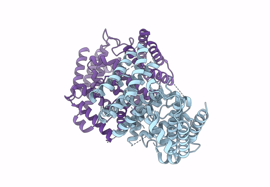 7XDS image