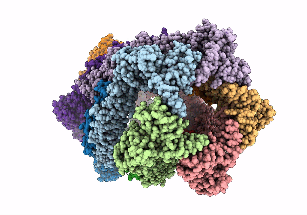 7XDT image