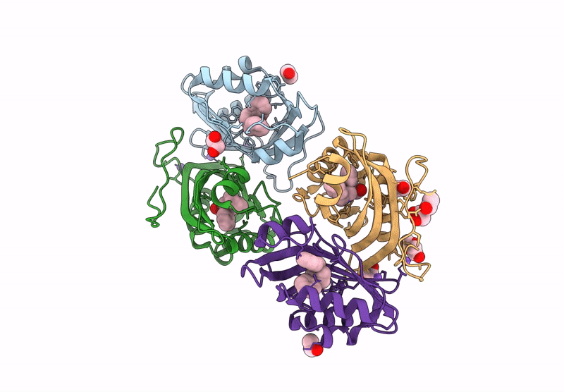 7XEF image