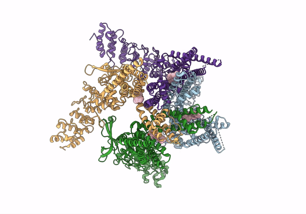 7XEM image
