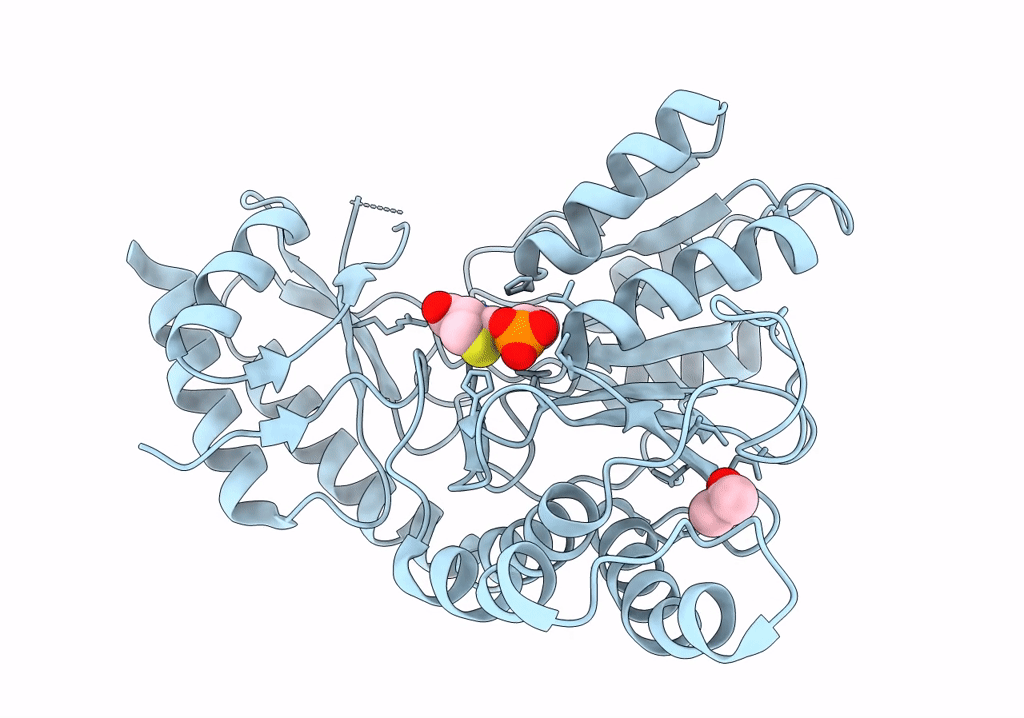 7XEQ image