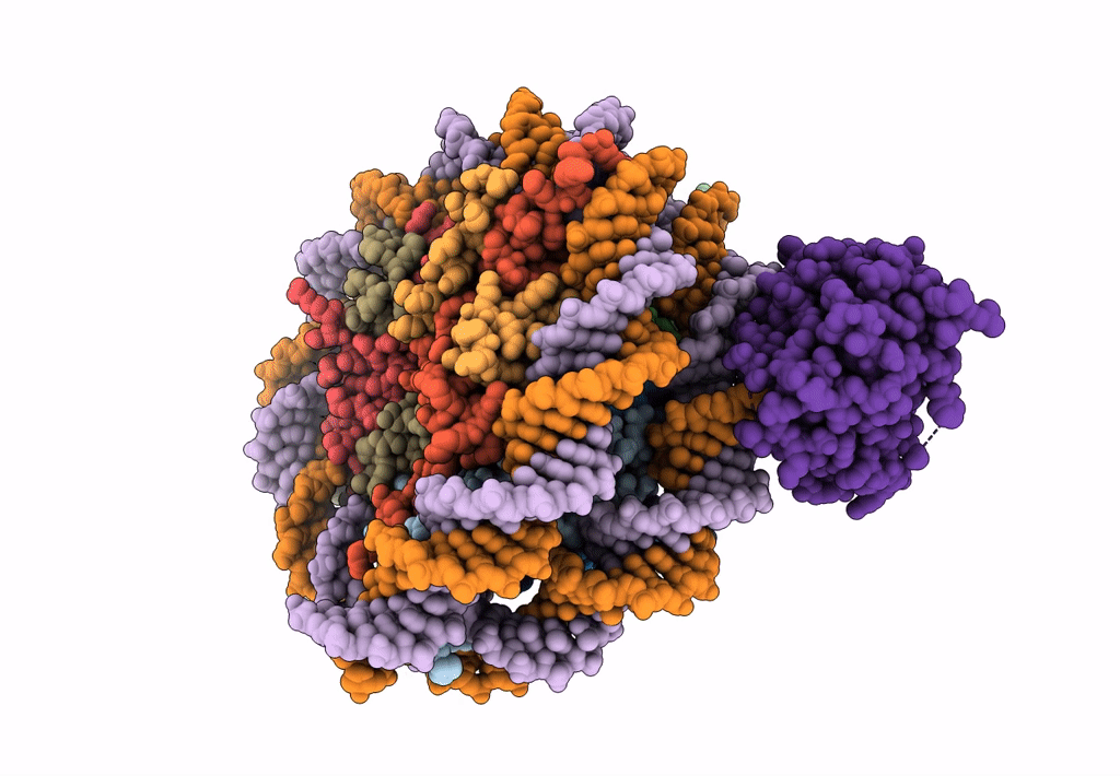 7XFH image
