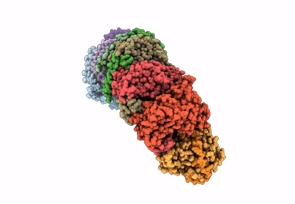 7XG2 image