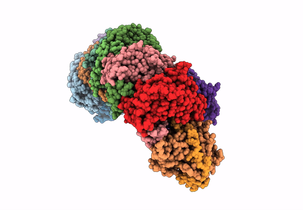 7XG4 image