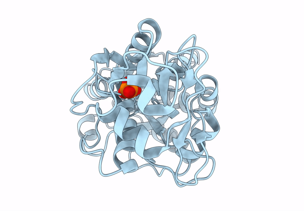 7XG8 image