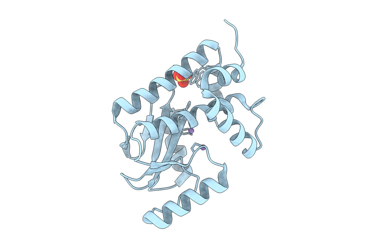 7XGC image