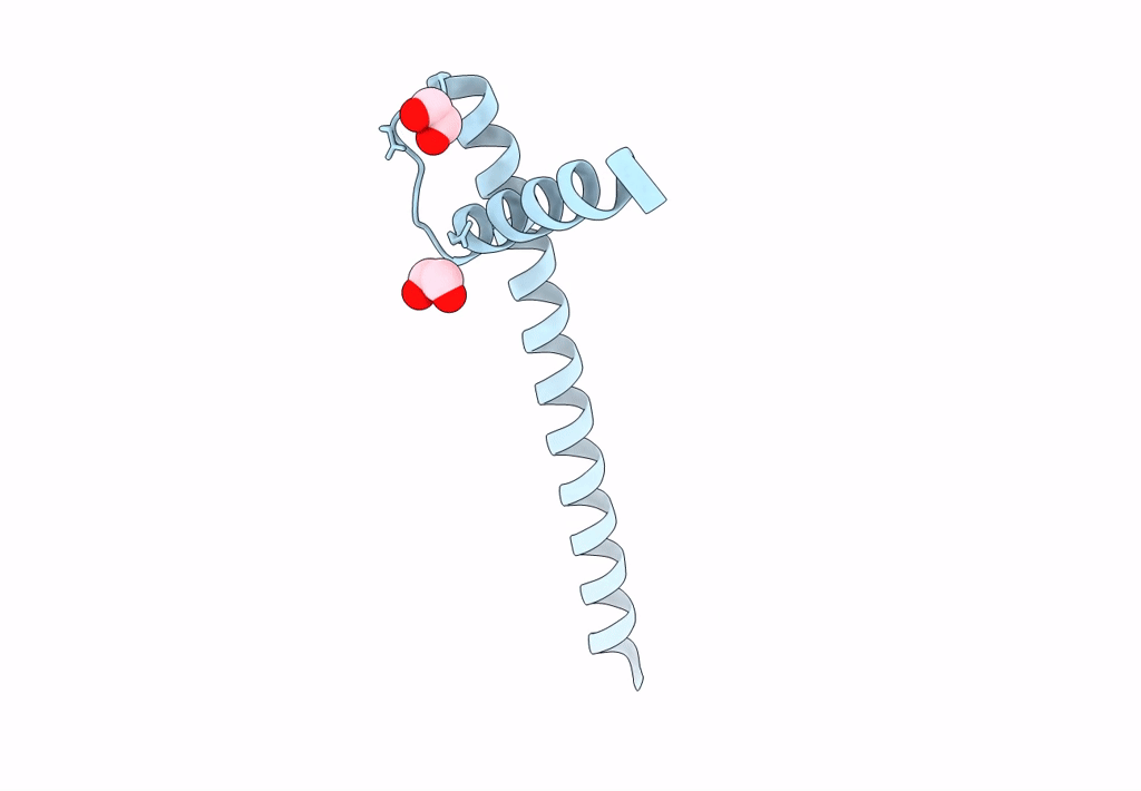 7XGS image