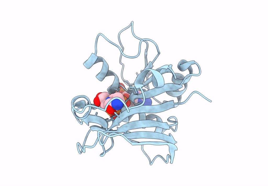 7XH2 image