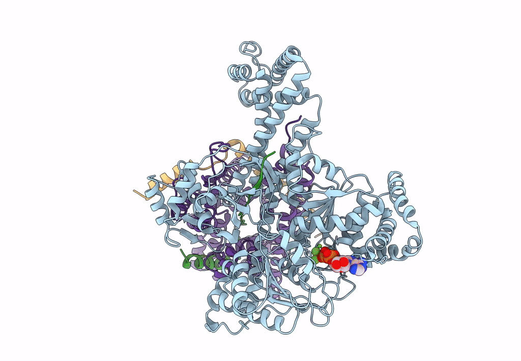 7XHA image