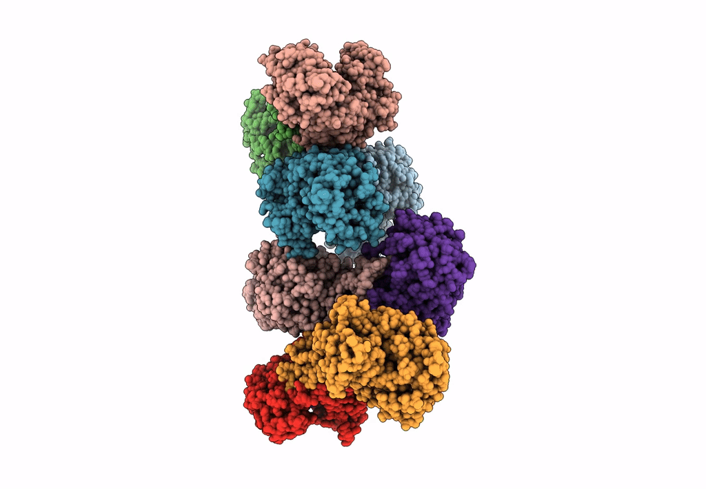 7XHL image