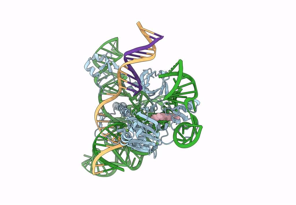 7XHT image