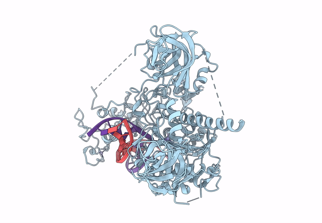 7XIB image