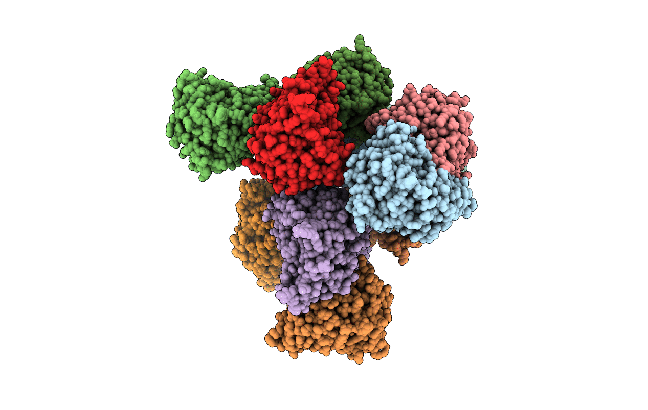 7XIF image