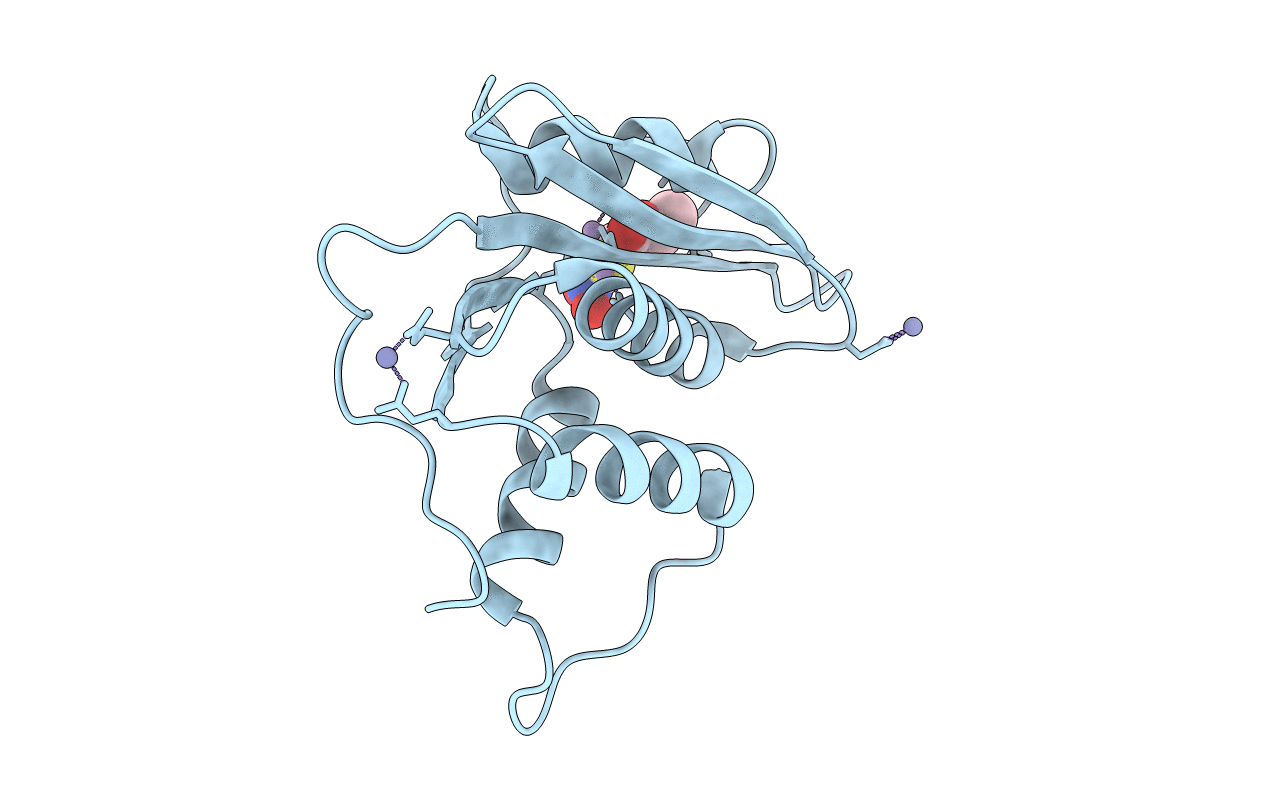 7XJ7 image