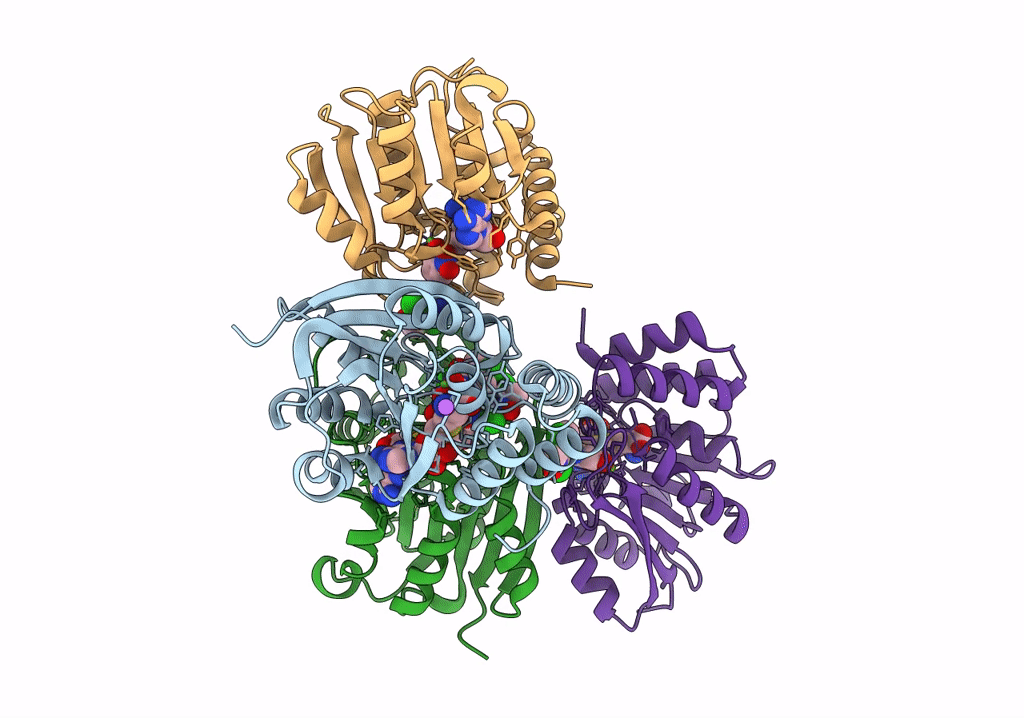 7XJB image