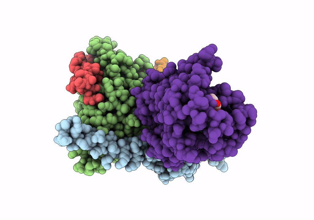 7XJI image