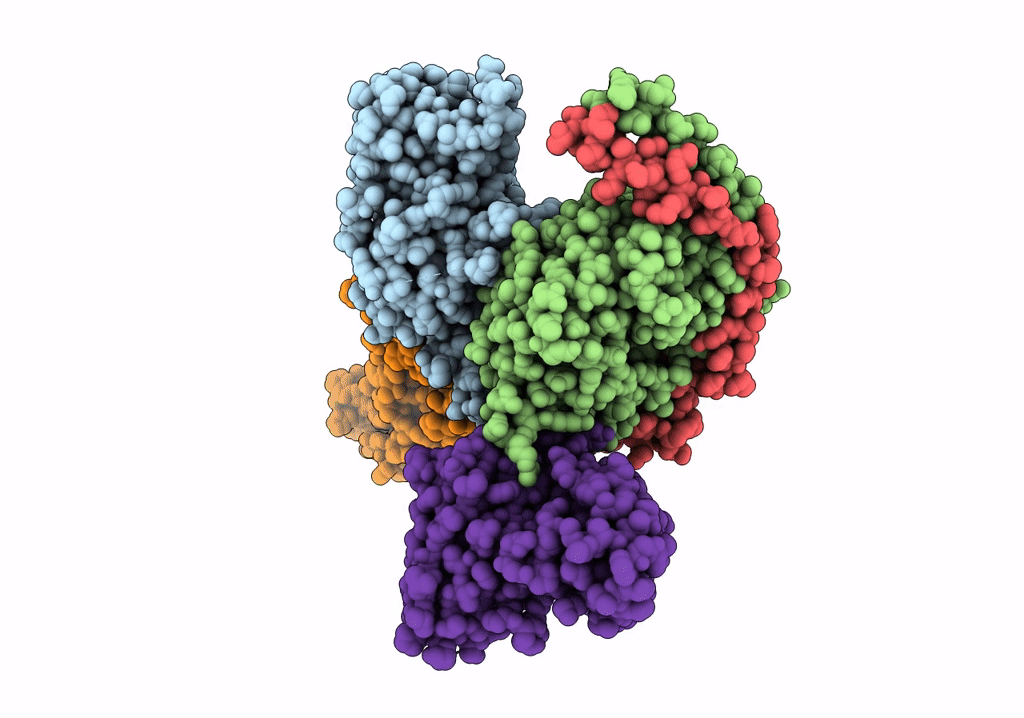 7XK2 image