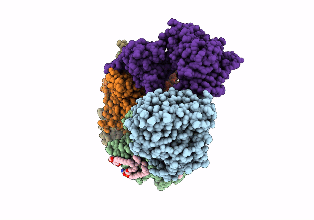 7XK5 image