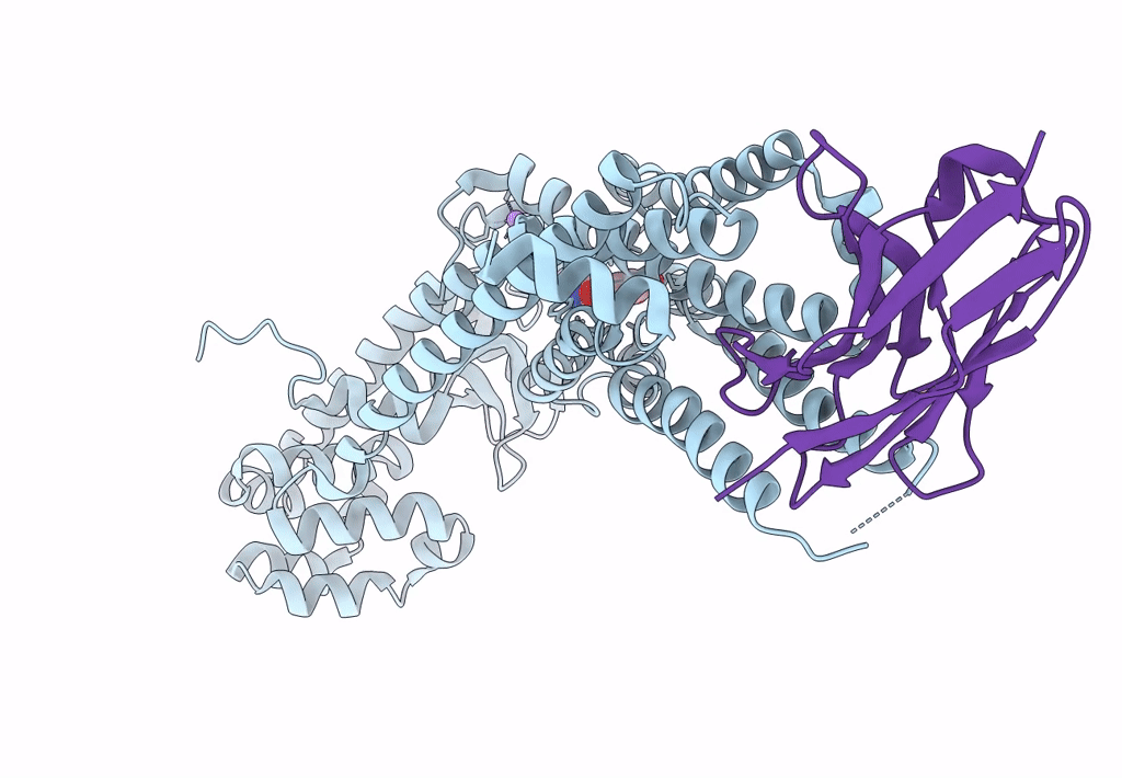 7XKA image