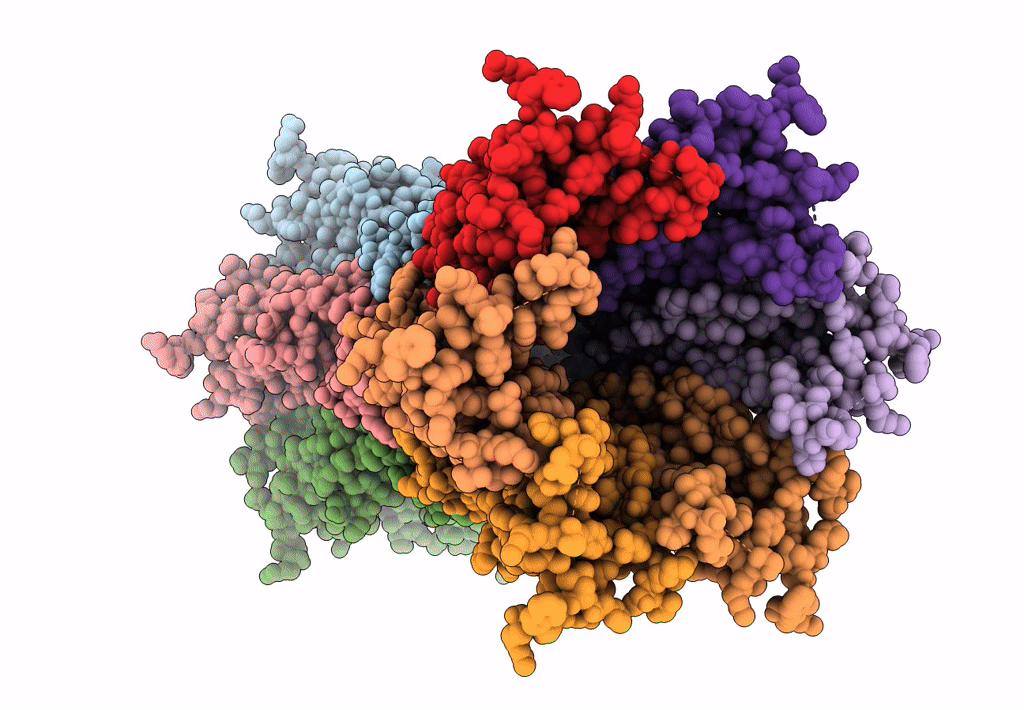 7XKK image