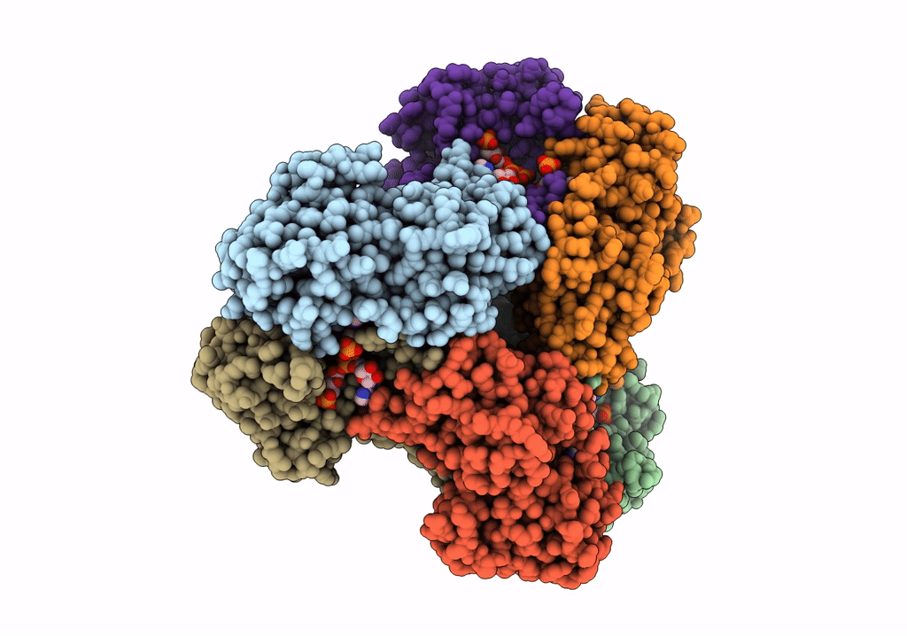 7XMV image