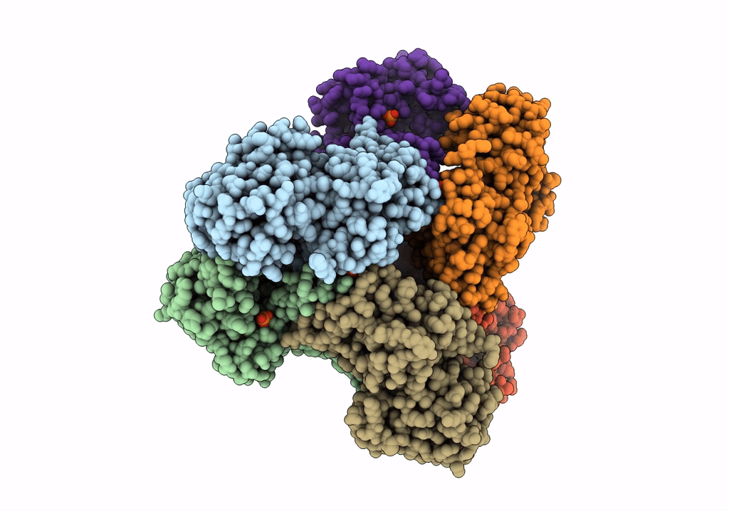 7XN3 image