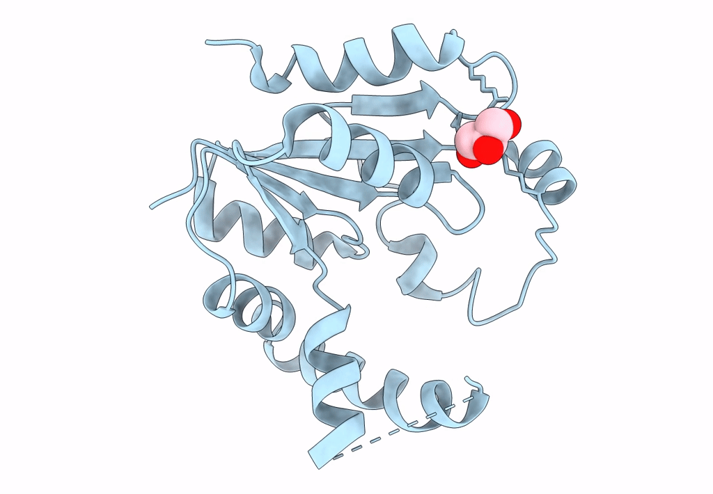 7XND image