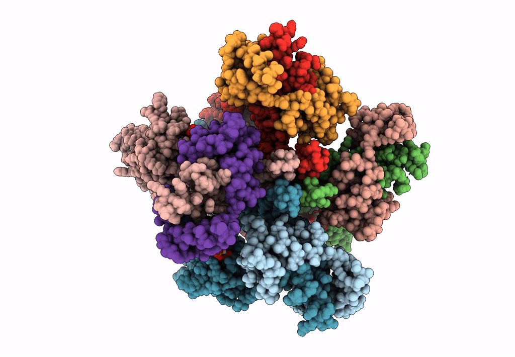 7XNN image