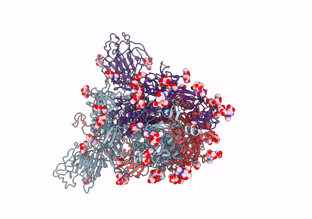 7XNR image