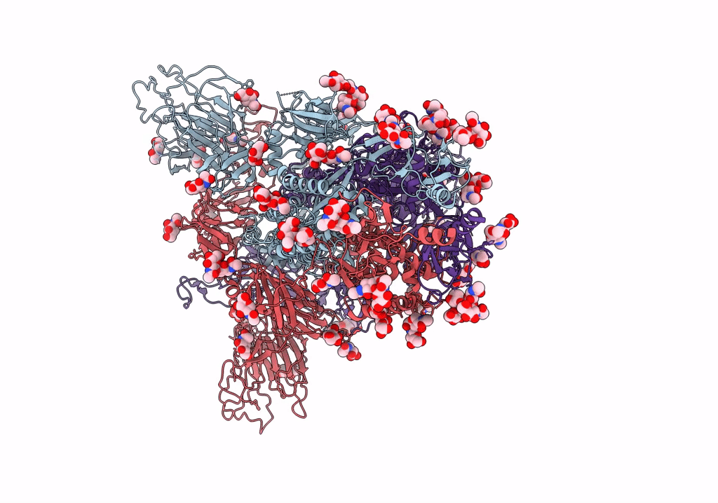 7XNS image