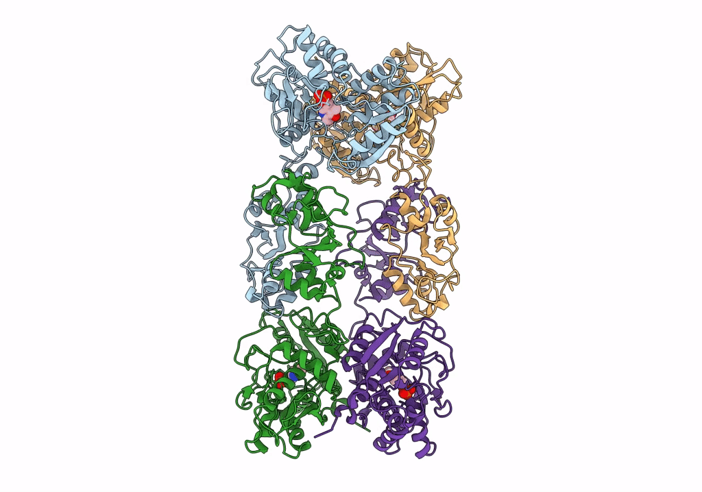 7XOH image