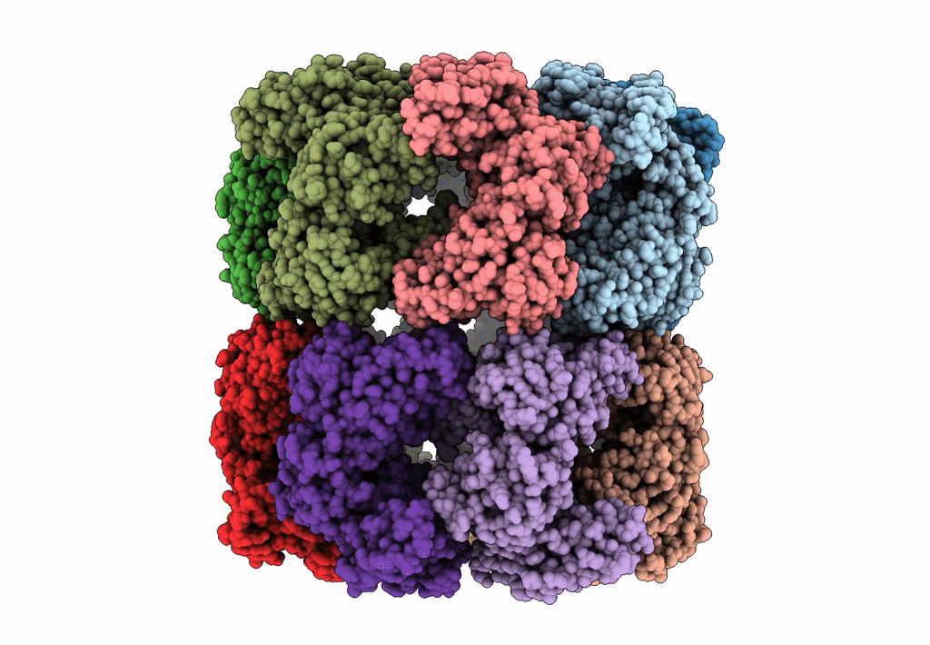 7XOJ image