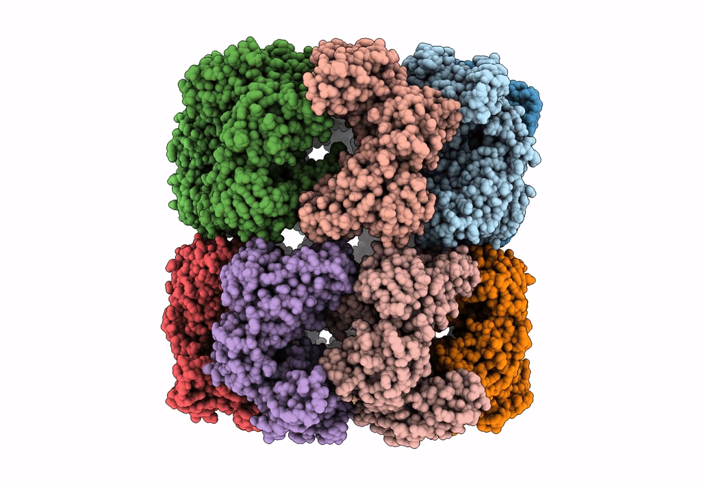7XOM image