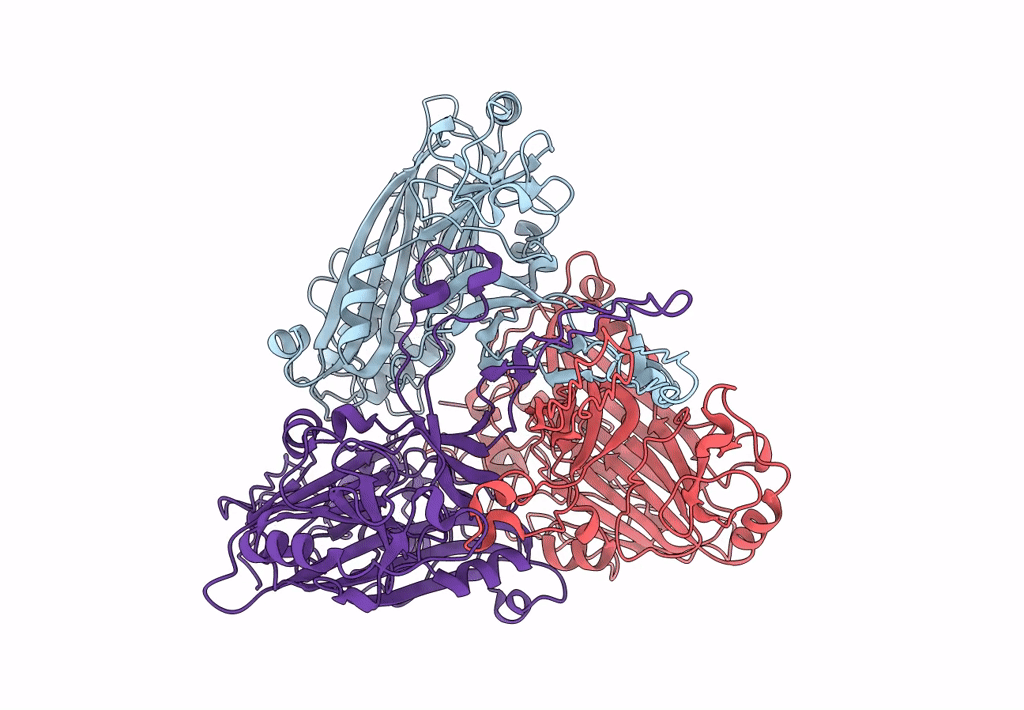 7XPF image