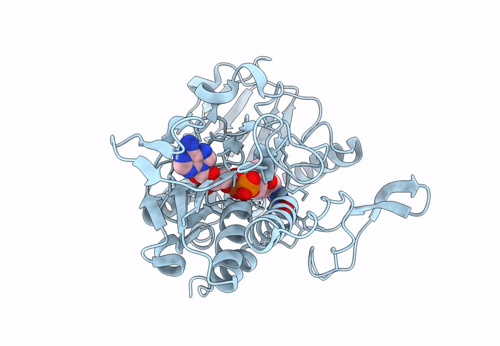 7XPI image